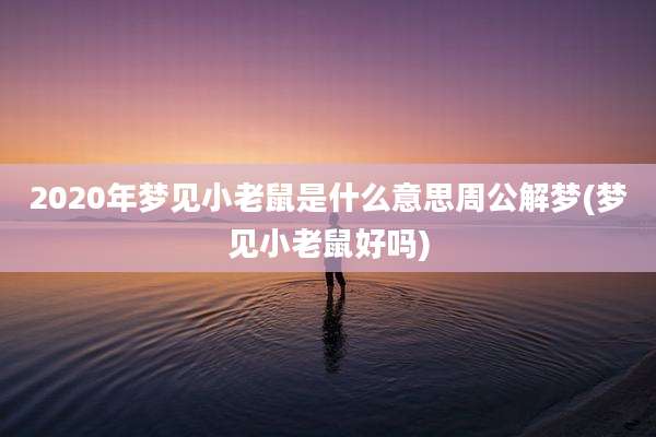 2020年梦见小老鼠是什么意思周公解梦(梦见小老鼠好吗)