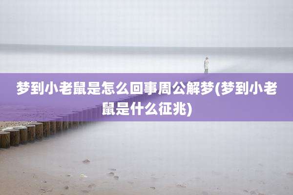 梦到小老鼠是怎么回事周公解梦(梦到小老鼠是什么征兆)