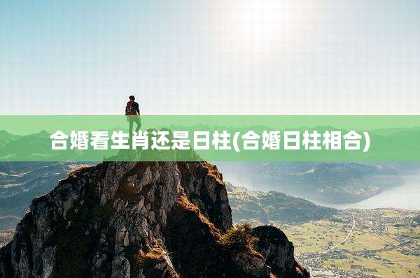 合婚看生肖还是日柱(合婚日柱相合)