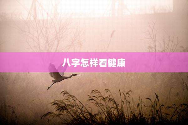 八字怎样看健康