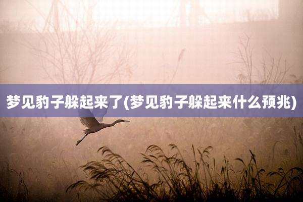 梦见豹子躲起来了(梦见豹子躲起来什么预兆)