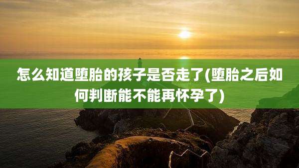 怎么知道堕胎的孩子是否走了(堕胎之后如何判断能不能再怀孕了)
