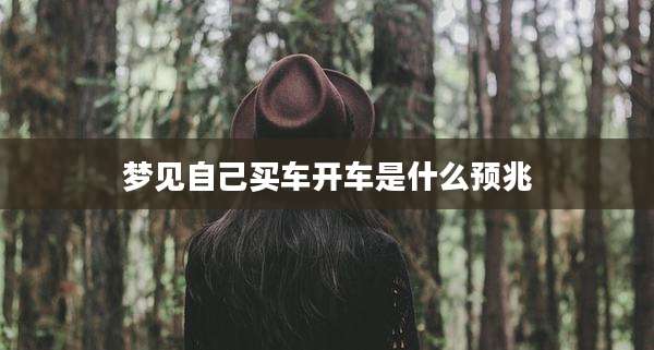 梦见自己买车开车是什么预兆