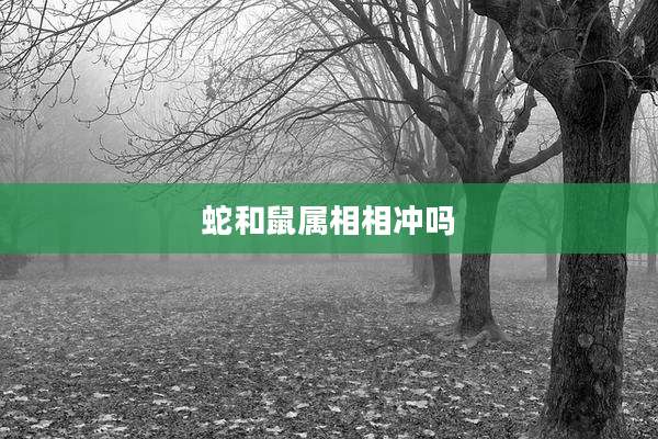 蛇和鼠属相相冲吗