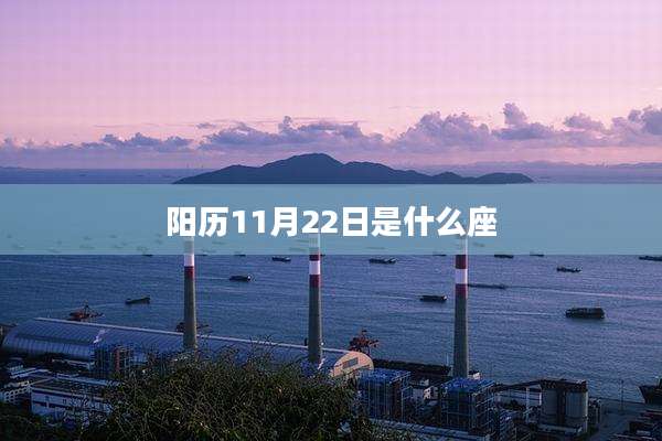 阳历11月22日是什么座