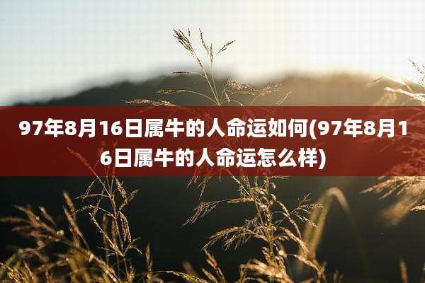 97年8月16日属牛的人命运如何(97年8月16日属牛的人命运怎么样)