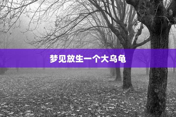 梦见放生一个大乌龟