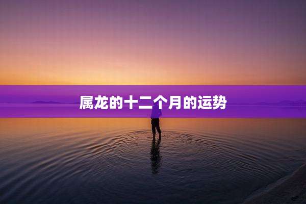 属龙的十二个月的运势