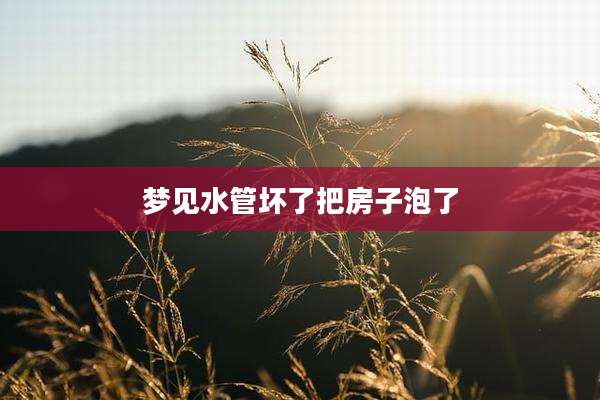 梦见水管坏了把房子泡了