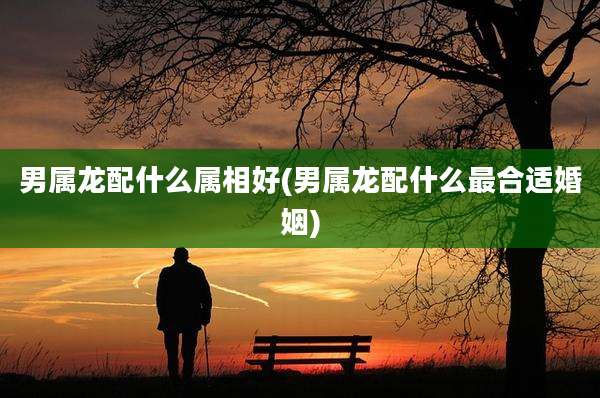 男属龙配什么属相好(男属龙配什么最合适婚姻)