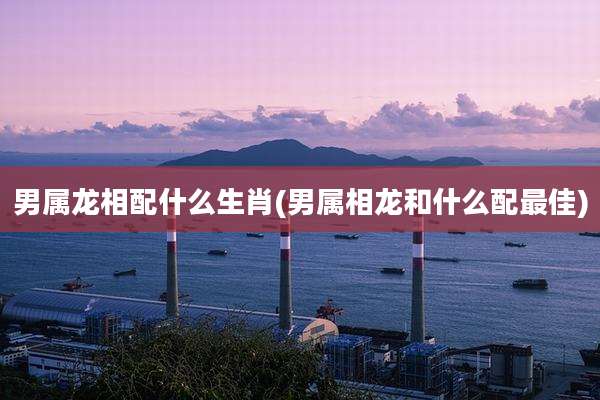 男属龙相配什么生肖(男属相龙和什么配最佳)