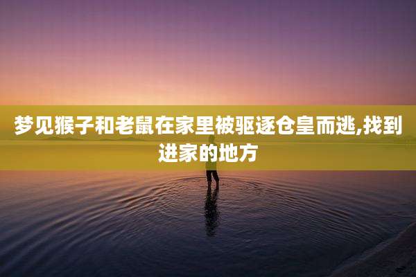 梦见猴子和老鼠在家里被驱逐仓皇而逃,找到进家的地方