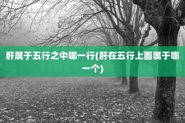 肝属于五行之中哪一行(肝在五行上面属于哪一个)