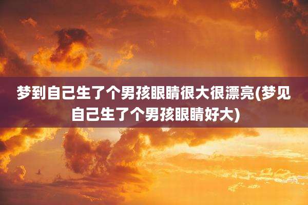 梦到自己生了个男孩眼睛很大很漂亮(梦见自己生了个男孩眼睛好大)