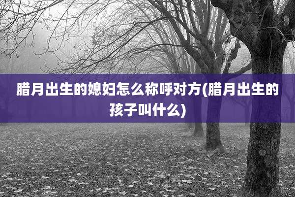 腊月出生的媳妇怎么称呼对方(腊月出生的孩子叫什么)