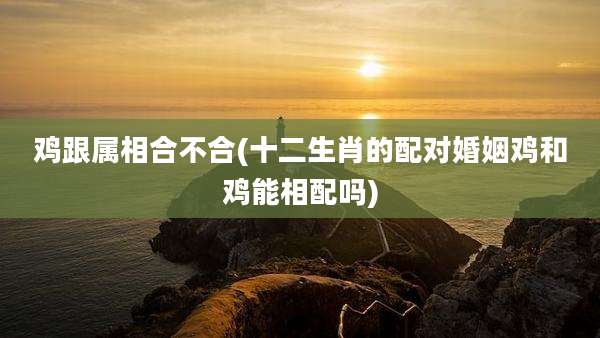鸡跟属相合不合(十二生肖的配对婚姻鸡和鸡能相配吗)