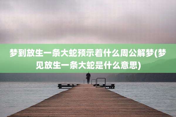梦到放生一条大蛇预示着什么周公解梦(梦见放生一条大蛇是什么意思)