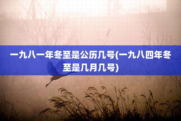 一九八一年冬至是公历几号(一九八四年冬至是几月几号)