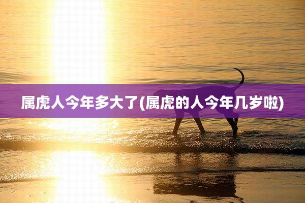 属虎人今年多大了(属虎的人今年几岁啦)