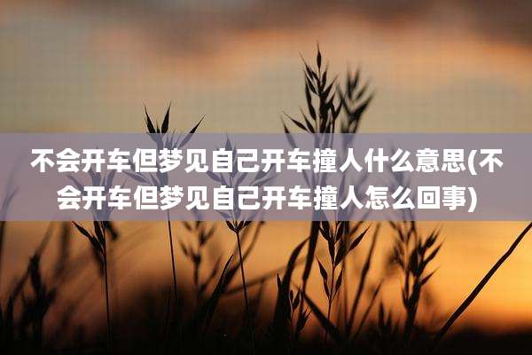 不会开车但梦见自己开车撞人什么意思(不会开车但梦见自己开车撞人怎么回事)