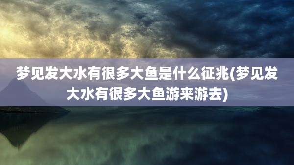梦见发大水有很多大鱼是什么征兆(梦见发大水有很多大鱼游来游去)