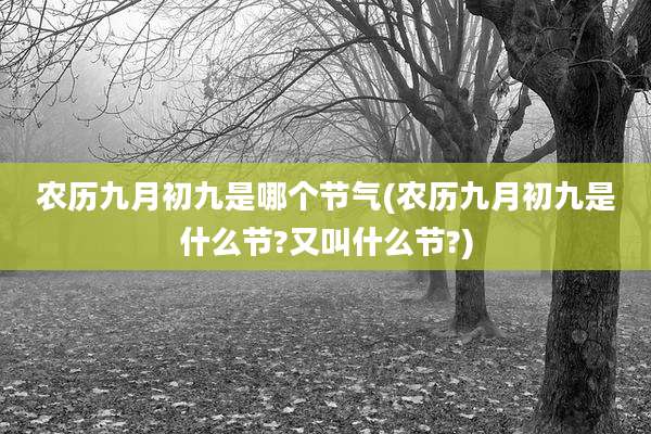 农历九月初九是哪个节气(农历九月初九是什么节?又叫什么节?)