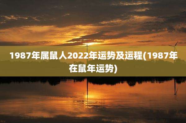 1987年属鼠人2022年运势及运程(1987年在鼠年运势)
