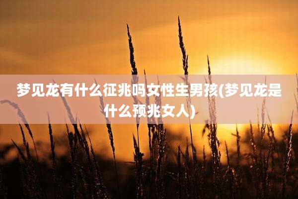 梦见龙有什么征兆吗女性生男孩(梦见龙是什么预兆女人)