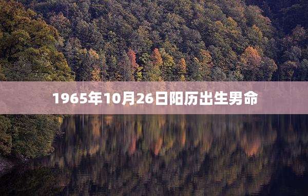 1965年10月26日阳历出生男命