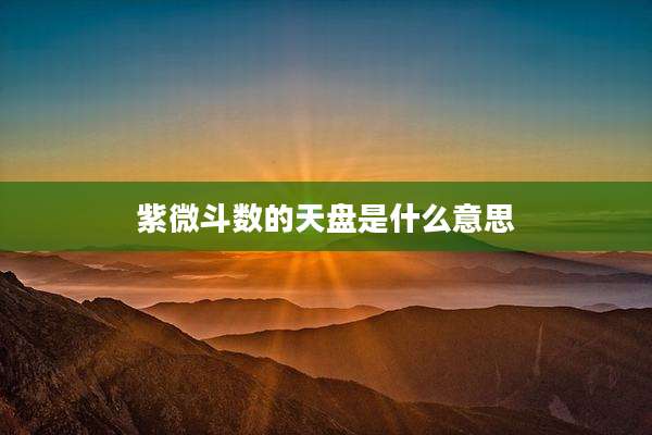 紫微斗数的天盘是什么意思
