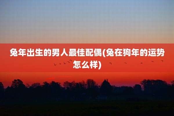 兔年出生的男人最佳配偶(兔在狗年的运势怎么样)