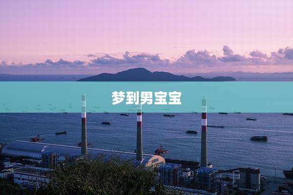 梦到男宝宝