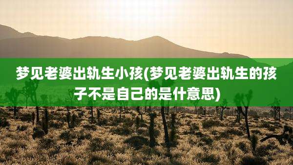梦见老婆出轨生小孩(梦见老婆出轨生的孩子不是自己的是什意思)