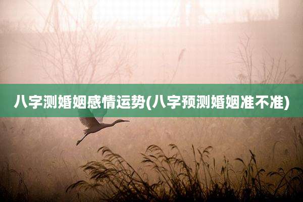 八字测婚姻感情运势(八字预测婚姻准不准)