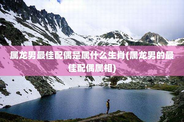 属龙男最佳配偶是属什么生肖(属龙男的最佳配偶属相)