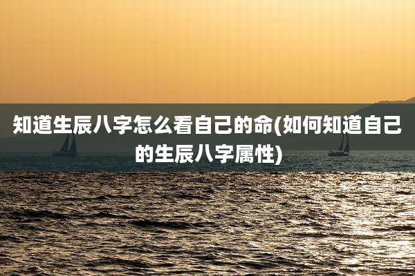 知道生辰八字怎么看自己的命(如何知道自己的生辰八字属性)