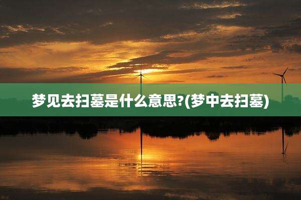 梦见去扫墓是什么意思?(梦中去扫墓)
