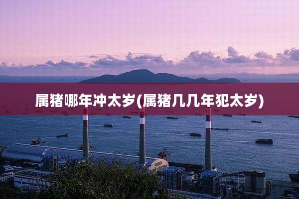 属猪哪年冲太岁(属猪几几年犯太岁)