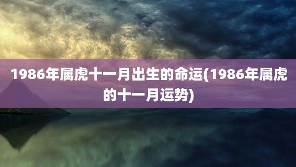1986年属虎十一月出生的命运(1986年属虎的十一月运势)