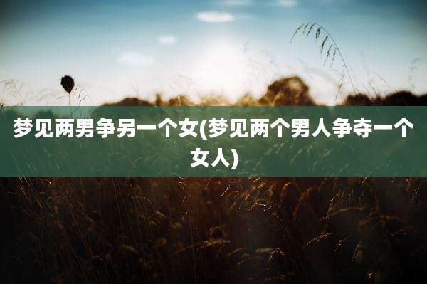 梦见两男争另一个女(梦见两个男人争夺一个女人)