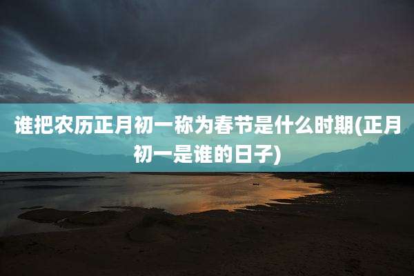 谁把农历正月初一称为春节是什么时期(正月初一是谁的日子)