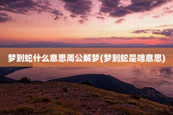 梦到蛇什么意思周公解梦(梦到蛇是啥意思)