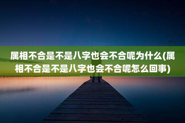 属相不合是不是八字也会不合呢为什么(属相不合是不是八字也会不合呢怎么回事)