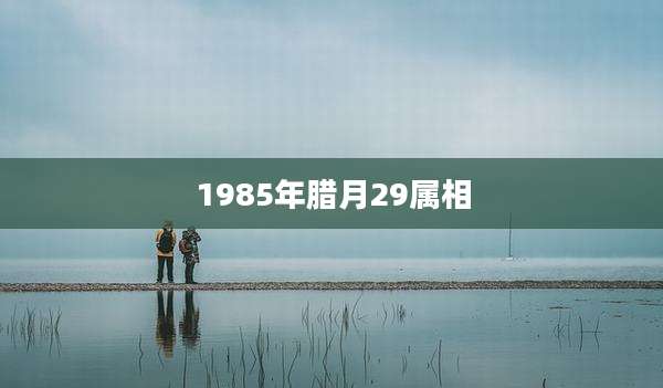 1985年腊月29属相