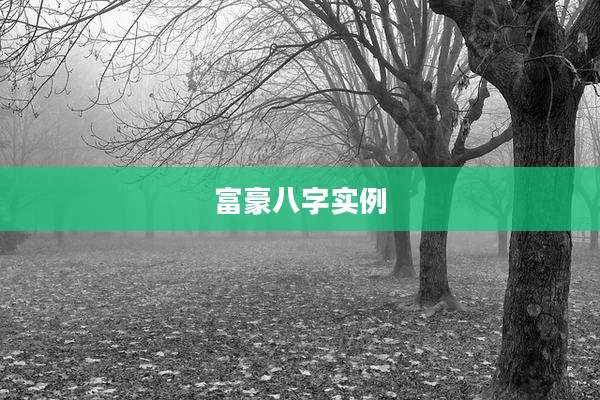 富豪八字实例