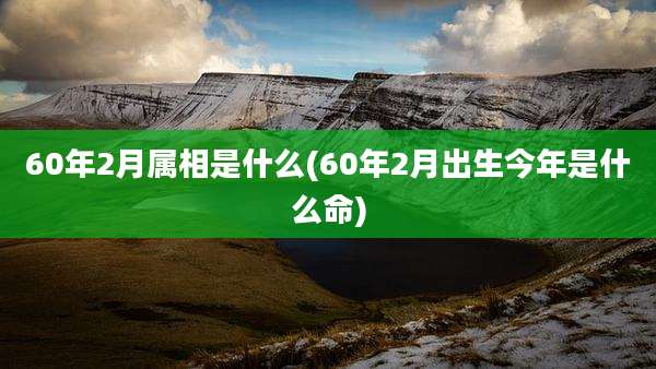 60年2月属相是什么(60年2月出生今年是什么命)