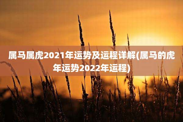 属马属虎2021年运势及运程详解(属马的虎年运势2022年运程)