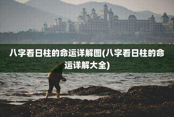 八字看日柱的命运详解图(八字看日柱的命运详解大全)