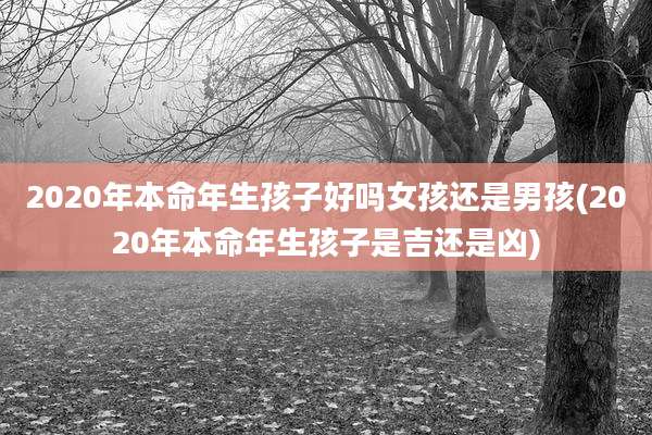 2020年本命年生孩子好吗女孩还是男孩(2020年本命年生孩子是吉还是凶)
