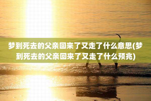 梦到死去的父亲回来了又走了什么意思(梦到死去的父亲回来了又走了什么预兆)